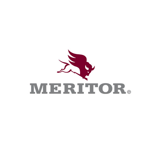 MERITOR DRIVE AXLE BRAKES